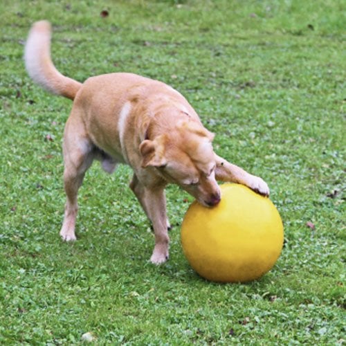 Honden speelbal  Geel | Diameter 30cm.